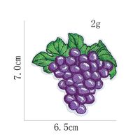 Patchs thermocollants en feutre non tissé brodés à motif de raisins pour accessoires de vêtements pour enfants, accessoires DIY pour chaussures et sacs