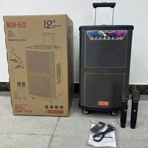 12Inch Điện Lớn Nhà Theatre Hệ Thống Âm Thanh Loa Không Dây Âm Thanh Lớn Bên Giai Đoạn Xe Đẩy Kéo Rod Loa Với 2 Không Dây Mic - Product Image 1