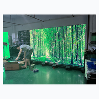 Display a Led portatile 600x1687.5mm Poster con schermo a Led per interni con schermo a Led