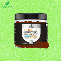 Solilan HALAL Vegan Haute Qualité Vente Chaude 3000mg Suppléments OEM Marque Privée Gommes de Shilajit Pur de l'Himalaya Or