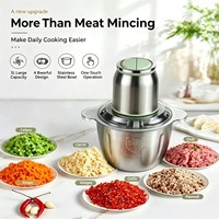 Hachoir Électrique Multifonctionnel de Cuisine avec Bol en Acier Inoxydable, 2 Vitesses, pour Viande, Légumes, Noix, Ail et Purée