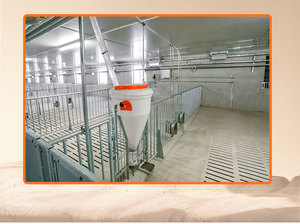 Alimentador automático chino para cerdos con material de acero y PE Alimentador húmedo y seco sin residuos de alimento - Product Image 5