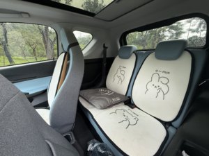 Gebrauchter <span class=keywords><strong>2022</strong></span> Chery Little Ant EQ1 301km Reichweite Linkslenker Elektro-Kleinwagen 50kW Einzelbesitzer Unfallfrei Niedriger Kilometerstand Chinesischer Exportverkauf - Product Image 4
