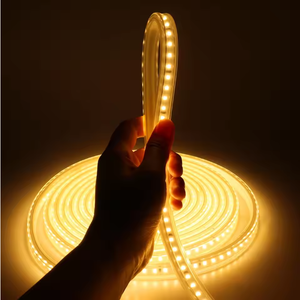 ไฟแถบ LED GoldBo AC220V COB กันน้ำ IP67 / รองรับ Wi-Fi 6500K ความยาว 15ม.-100ม. ได้รับการรับรองมาตรฐาน CE ROHS รับประกัน 3 ปี - Product Image 1