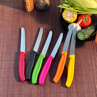 Couteau à steak portable en acier inoxydable, coloré, pour desserts, fruits et tomates, à lame dentelée, avec manche en PP, pour cuisine et table.