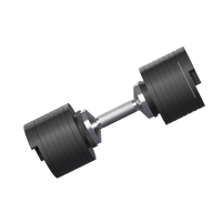 Haltères réglables en fonte Snode Household 45 kg, système de réglage rapide, poignée ergonomique, exercice musculaire complet du corps