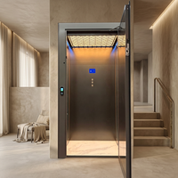 Ascenseur domestique MRL à traction sans engrenages, tension 220 V, pour passagers