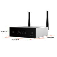Akrilik S50pro + WiFi BT 5.0 Aptx HD, sistem pita Preamplifier Audio rumah Stereo Kelas D Digital penuh