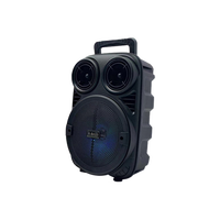 Haut-parleur portable OEM/ODM avec microphone et lumière LED pour karaoké, idéal pour les fêtes à domicile et l'intérieur
