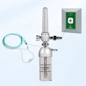 German Standard Inlet Wall Type Oxygen Inhaler Medical Oxygen Pressure Regulator With Oxygen Flow Meter And Humidifier Bottle