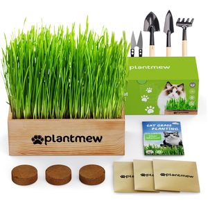 Kit d'herbe à chat pour chats d'intérieur avec terreau nutritif et pots de culture |   Kit complet de culture pour herbe fraîche pour animaux de compagnie et jardinage - Product Image 1
