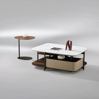 Meubles de salon contemporains et modernes, table basse en acier inoxydable, design en panneaux de bois, table centrale pour appartement et maison