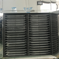 Remarkable Quality Fruit Dehydrator, Lemon Drying Machine