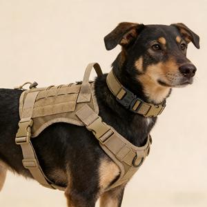 Arnés de Nailon Resistente para Perro, con <span class=keywords><strong>Collar</strong></span> y Correa, Material Transpirable, Fácil de Controlar y Seguro para Actividades al Aire Libre - Product Image 3
