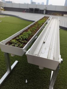 مزرعة الدفيئة ، مزرعة الكوكو ، كيس مزراب لنمو الخث ، حوض بلاستيك PVC من الدرجة الغذائية - Product Image 2