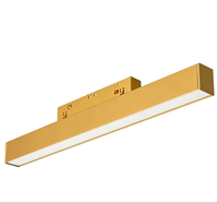 Spot lumineux magnétique encastré sans bordure doré pour plafond, éclairage magnétique à montage en surface pour salon, villa, maison