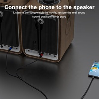 USB Tipe C Coaxial Dual XLR Male Y-Splitter Adaptor Audio Profesional Mikrofon Studio Rekaman Panggung Sistem Suara Instrumen Langsung