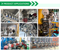 Vanne à boisseau sphérique excentrique WCB, Vanne d'eau manuelle, Raccord à bride résistant à l'usure, Haute température DN15-DN200 pour l'industrie lourde OEM