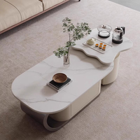 Table à thé en forme de feuille de designer moderne minimaliste Design Table basse de luxe irrégulière et ensemble de support TV pour le salon