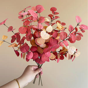 Artificial Eucalipto Decoração Simulação Flores Outono Eucalipto Folhas Ramos Cross-border Harvest Festival Decoração - Product Image 3