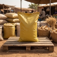 Sacs tissés en PP 25kg 50kg 100kg 120kg pour l'emballage de maïs, blé et haricots au Burkina Faso