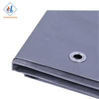 Bâche extérieure grise de personnalisation de bâche de bâche de Pe 10m x 10m