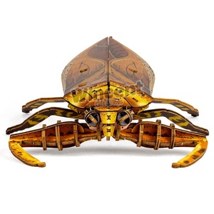 <span class=keywords><strong>Puzzle</strong></span> <span class=keywords><strong>3D</strong></span> en bois de insecte aquatique <span class=keywords><strong>géant</strong></span>, kit de montage DIY, modèle d'insecte, jouet éducatif STEM pour enfants et adultes - Product Image 4