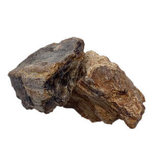 Partículas de Ámbar Ambrum de Piedra Lince, Material Herbal de Alta Calidad <span class=keywords><strong>Hu</strong></span> <span class=keywords><strong>Po</strong></span> 8023, en Venta - Product Image 2