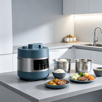 Mini-cuiseur à pression électrique 2L compact multifonction pour la maison