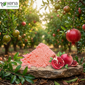 Extracto de Granada Natural en Polvo al por Mayor, Ingrediente Botánico a Granel para Formulaciones - Product Image 1