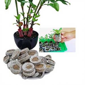 Bloque de Fibra de Coco de 10 cm, Ladrillo de Turba de Coco de Alta Espuma y Bajo Contenido Salino, Fibra de Coco Comprimida con Alta Retención de Agua para Jardinería Doméstica - Product Image 2