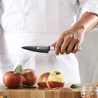 Luxe Damascus staal titanium geplateerde fruitmesjes met ebbenhouten handvat