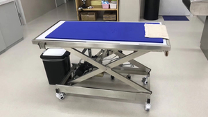 Table d'opération vétérinaire hydraulique électrique EUR PET pour animaux de compagnie, lit de chirurgie vétérinaire, table d'examen vétérinaire, <span class=keywords><strong>tapis</strong></span> - Product Image 4