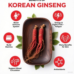 อาหารเสริมสุขภาพสำหรับผู้ชาย แบรนด์ส่วนตัว เพิ่มความแข็งแกร่ง เสริมภูมิคุ้มกัน ให้พลังงาน ด้วยเครื่องดื่มโสมแดงเกาหลี - Product Image 2