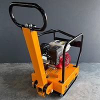 Compacteur à plaque vibrante à essence de type 250, haute profondeur de compactage, pour routes, sols et graviers, ODM