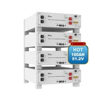 Baterai Deye SE-G5.1 Pro LiFePO4, baterai penyimpanan energi 5,12 kWh 51.2V 100AH
