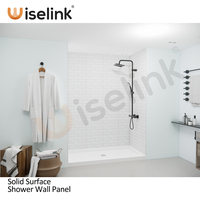 Panneaux muraux de salle de bain de conception minimaliste de feuille de Surface solide en marbre de haute qualité pour l'utilisation de divertissement d'entourage de douche d'hôtel/maison