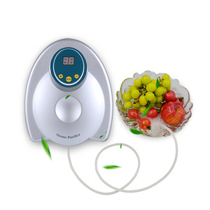 Ozone Purifier Fruit Vegetable Meat Sterilizer 4L Below Wall Mount Tabletop Use - Product Image 2