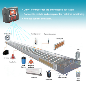 Chất Lượng Cao Tự Động Gia Cầm Gà Trang Trại Gà Thịt Tầng Nâng Cao Trung Chuyển Pan PP Chất Liệu - Product Image 4