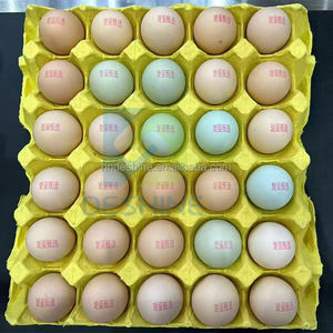 Nouvelle machine de codage d'œufs entièrement automatique à 6 buses, imprimante jet d'encre multifonctionnelle à séchage rapide avec cartouche d'encre de qualité alimentaire et support flexible - Product Image 5