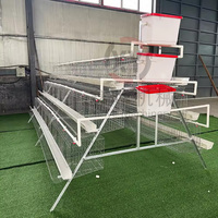 Nouvelles cages à poulets de type A en acier galvanisé à chaud avec système d'évacuation du fumier pour les fermes avicoles africaines