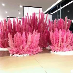 Graines de pampas rose vif, super grandes et longues, à plumes moelleuses, naturelles et séchées, pour mariage, fête des mères, remise de diplôme - Product Image 1