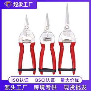 Jolies cisailles de jardin en acier inoxydable avec manche en plastique, cisailles à haies manuelles pour l'élagage du jardin - Product Image 5