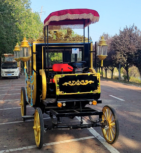 Carroza Eléctrica de Transporte Especial OEM, Modelo 2026, la Más Vendida, Tipo Limusina, con Diseño de Carruaje Real - Product Image 3