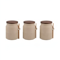 Ensemble de 3 pots de conservation hermétiques en céramique cannelée, avec couvercle en bois, joint en silicone, clip latéral et cuillère en bambou