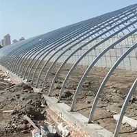Serre en plastique à arche courbée Zhuotai, serre en plastique arquée