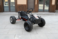 Pédale d'accélérateur, frein à disque de course, kart de location, kart de loisirs, kart à 4 temps, transmission par chaîne, moteur 212CC, 70 km/h, accessoires pour karts