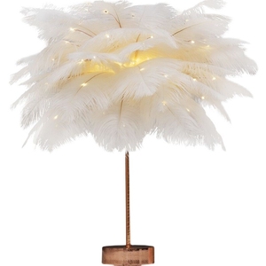 Lampe Romantique en Plumes pour Chambre de Fille Veilleuse d'Ambiance Décoration de Bureau pour Streaming en Direct et Anniversaires - Product Image 4