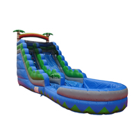 Tobogán de agua inflable para adultos, piscina de 20 pies de alto, a la venta, color azul, para actividades de jardín, usado