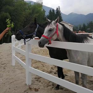 Postes de PVC Negros/Blancos con 3 Rieles para Establos y Granjas al Aire Libre - Cercas Naturales Tratadas a Presión - Product Image 5